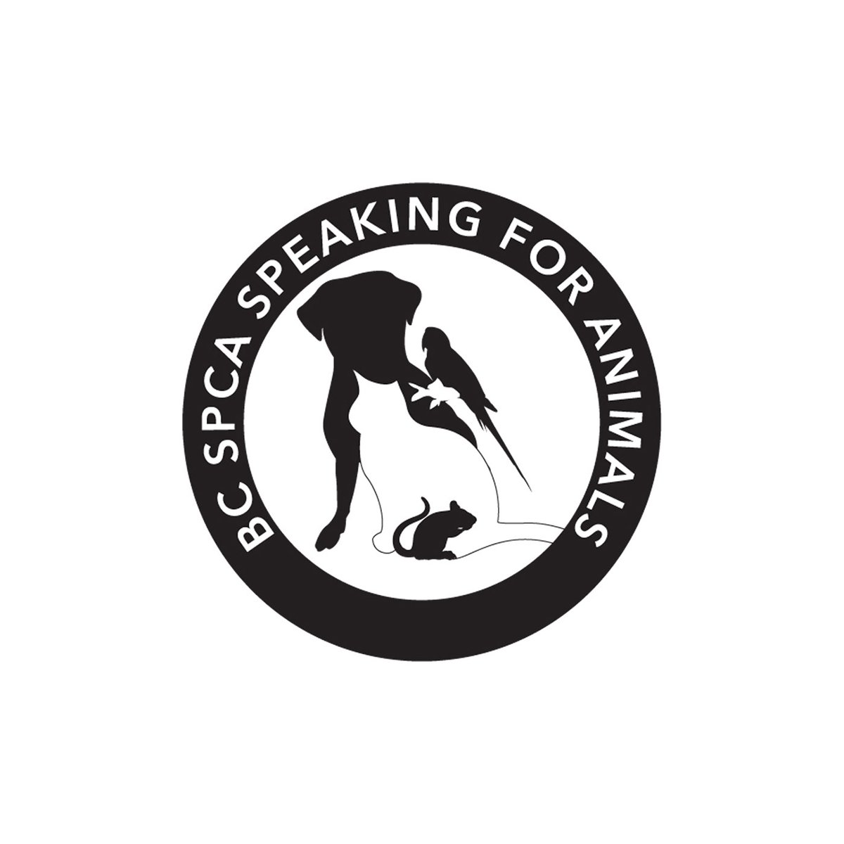 hazelbishop's tweet photo. A logo is more than a mark—it’s the foundation of a brand. 🐾

For the BC SPCA, I created a logo designed to communicate care, compassion, and connection while providing a strong, recognizable visual identity.

Effective logo design starts with understanding the organization behind the mark. From concept development and typography to shape, balance, and visual meaning, every element works together to create an identity that can grow across digital, print, and marketing applications.

Looking for a logo or visual identity that represents your organization and connects with your audience?

👉 Explore my portfolio and let's work together:
https://t.co/Tjor3f2QXw

#LogoDesigner #HazelBishopGraphics
