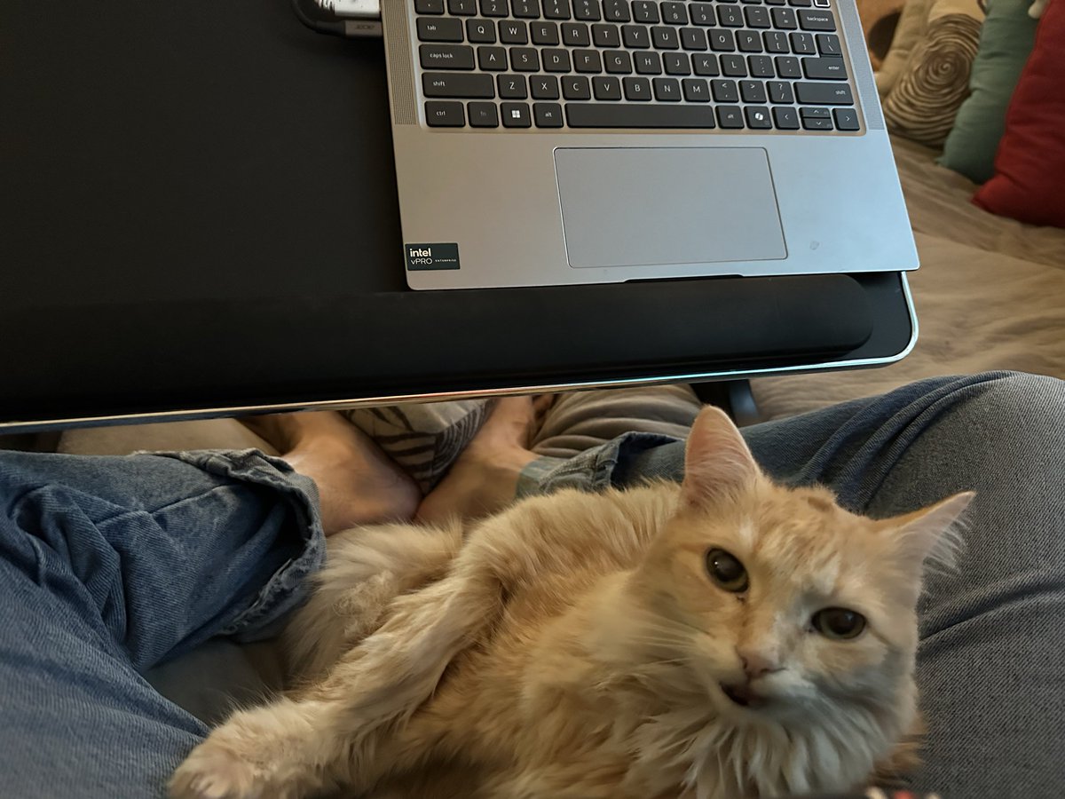 JeffSampson79's tweet photo. "I can has cybers, Papa?" https://t.co/n0vXK4lzBi
