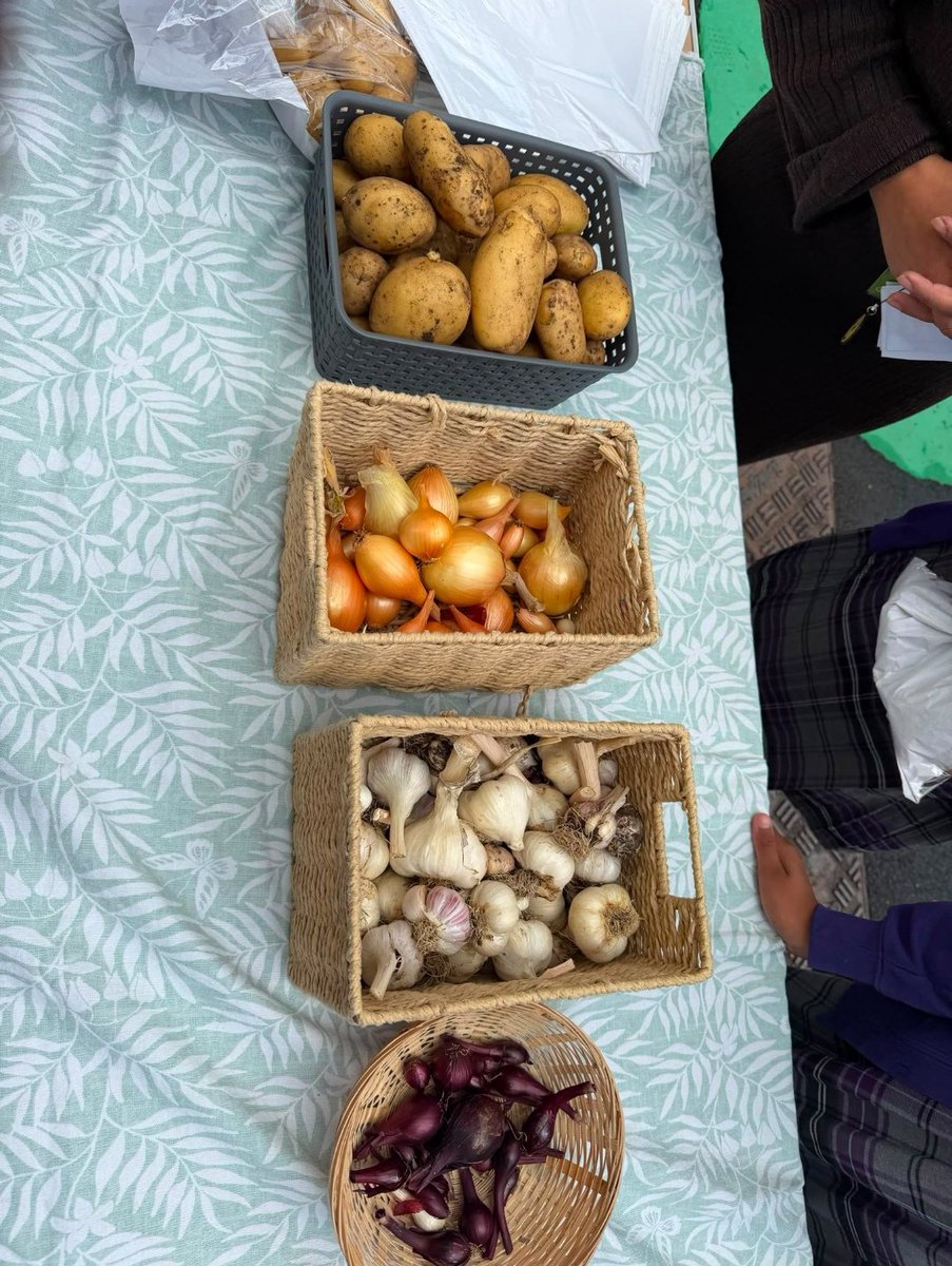 olive_bburn's tweet photo. Proud to see our little gardeners wrap up their final harvest and sell their homegrown veggies today!
🥕🥦🧅 🥔 
#WeAreStar 
#CommunityGarden #LittleGrowers #FinalHarvest #YoungEntrepreneurs https://t.co/o5hAg1lpMZ
