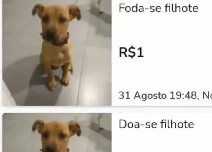 susgovbr's tweet photo. tadinho https://t.co/yNuPBV2sJz