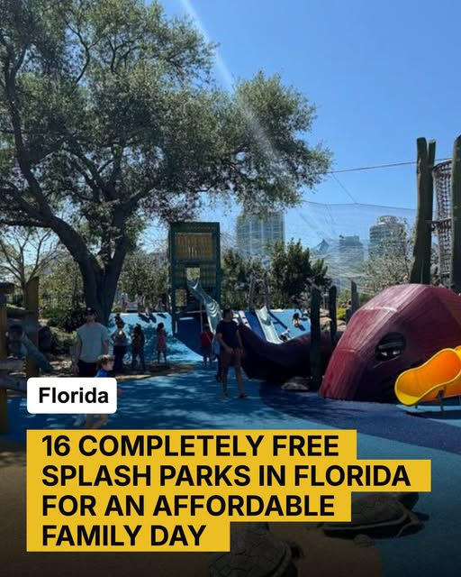 mnagu50's tweet photo. Looking for a budget-friendly way to beat the Florida heat? These 16 completely free splash parks make it easy to turn a hot day into family fun. https://t.co/gXjs3lm2mg