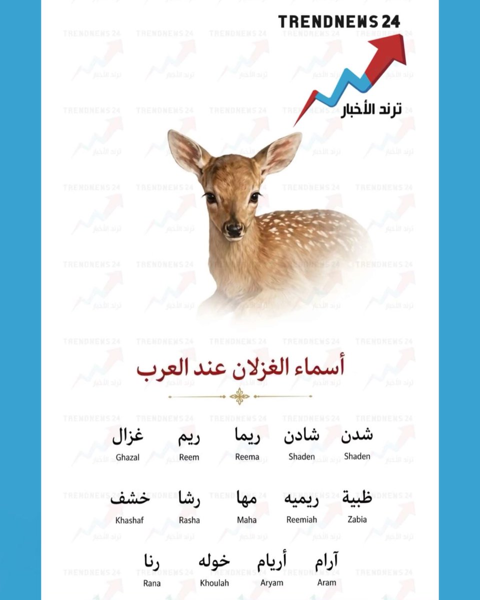 trendnews_24's tweet photo. أسماء الغزلان عند العرب https://t.co/sC8jLw6ZSo