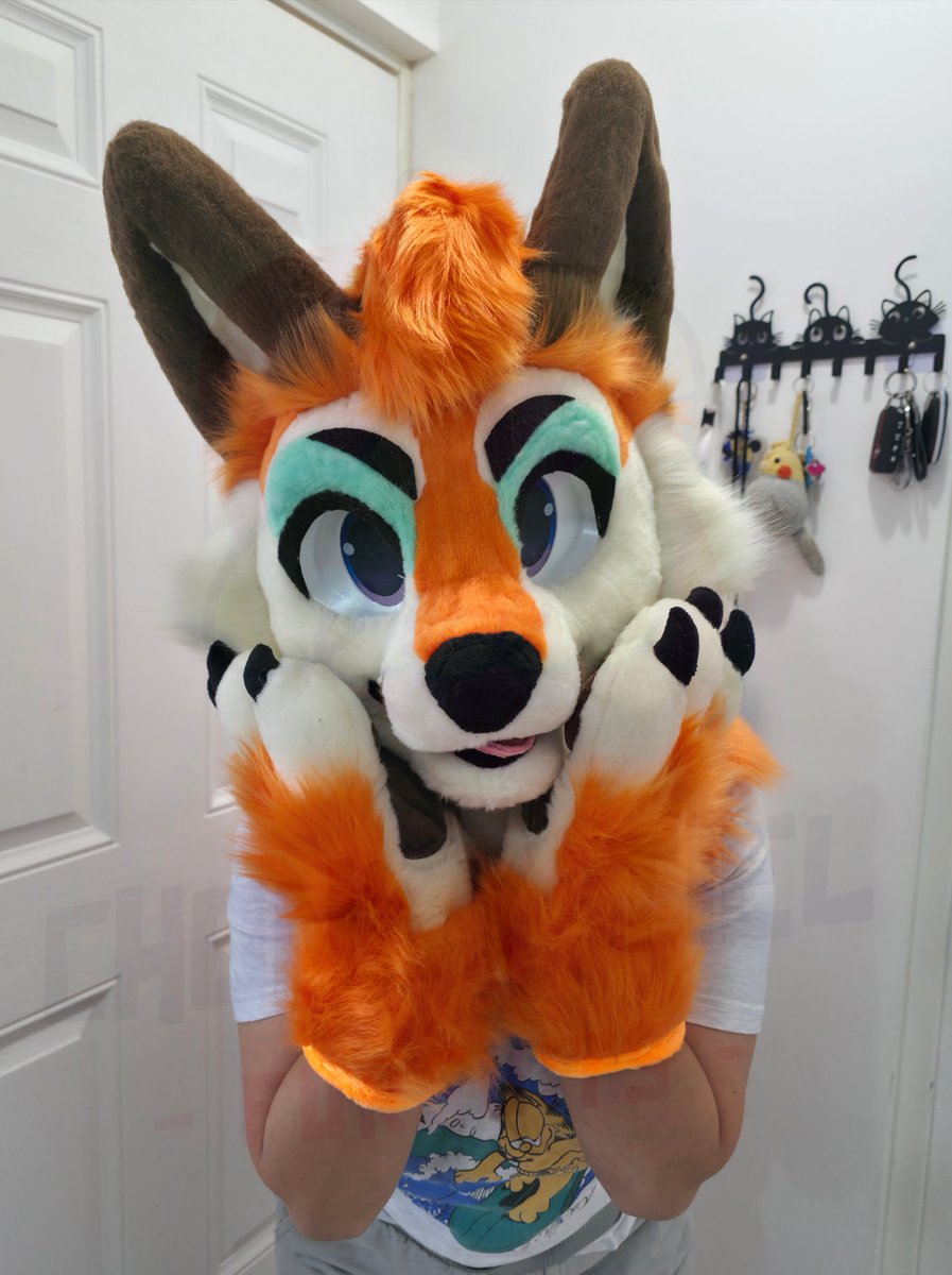 Chonky_Tiel's tweet photo. This fox premade is looking for a new home! 🦊

Fursuit Mini Partial! 💕
Includes 

- Furhead 
  1. Full lined
  2. Lined neck
  3. Velcro eyelids 

- Handpaws 
- Tail
- Digital Badge 

$1️⃣,4️⃣0️⃣0️⃣.0️⃣0️⃣ USD + shipping 🐦

#ChonkyTielCreations #ChonkyTiel #FursuitMaker #Fursuit https://t.co/1pp1McJKvD