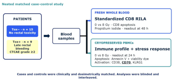 urotoday's tweet photo. Functional radiosensitivity assay identifies immune markers associated with late rectal bleeding after prostate radiotherapy: The #TransPROUST study. Presentation by @DebbiKamel. #ASTRO26 written coverage by @zklaassen_md > https://t.co/giS3Vw11rT @ASTRO_org https://t.co/8WzVqJ6SPP
