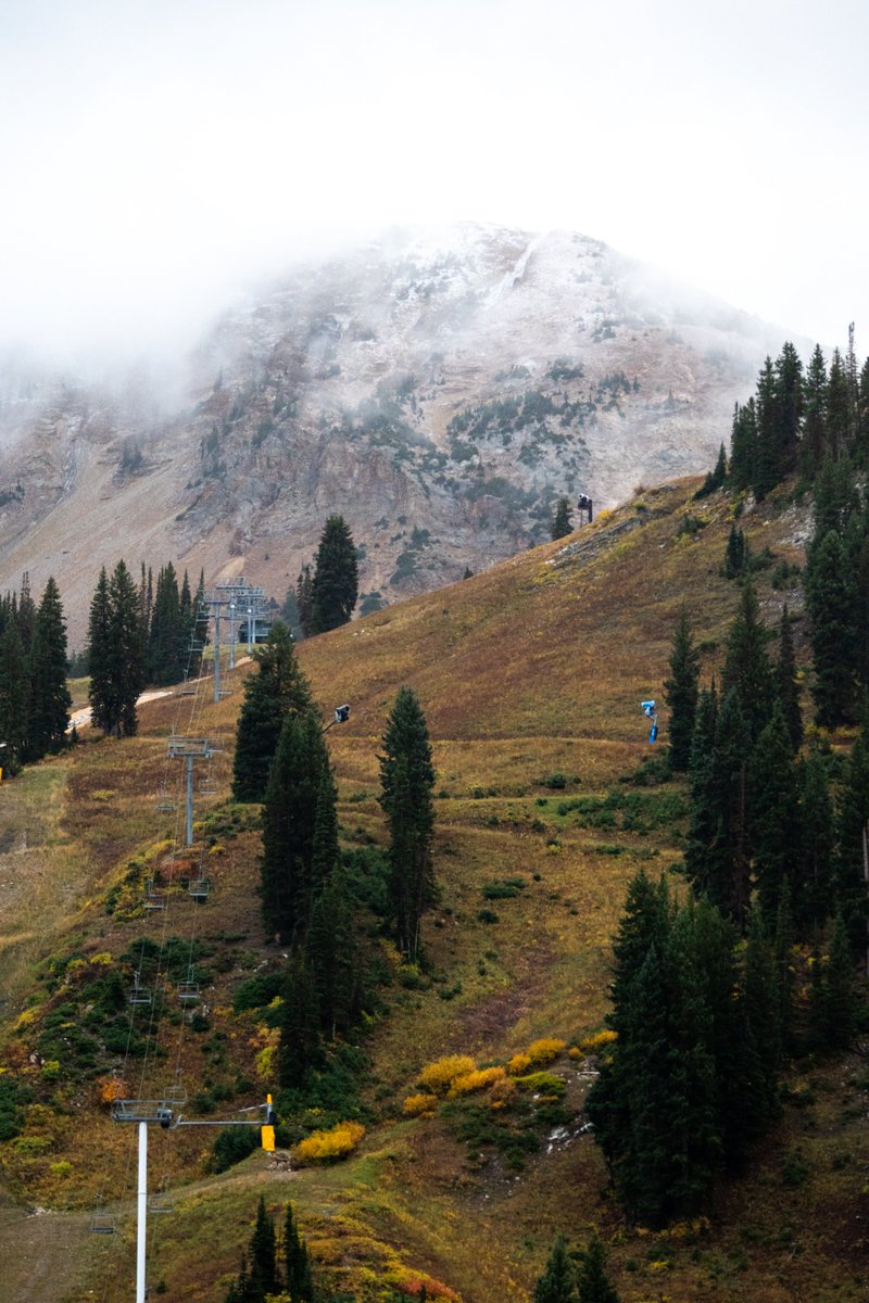 AltaSkiArea's tweet photo. Frosted tips are so back 🏔️ https://t.co/hdvTApMdeq