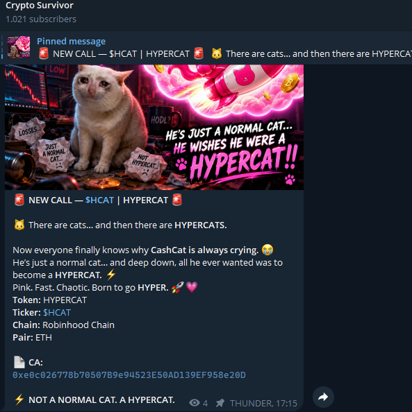 HyperCatCash's tweet photo. $HCAT start @telegram marketing ! 

A $HYPERCAT never stays still!

https://t.co/vAaLDJ2Q0X https://t.co/eYhuxw3vxT