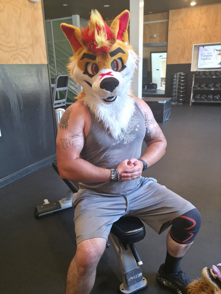 FloydTheSnog's tweet photo. @InkDoggo has been following my advice, proud of him. https://t.co/TX6dsqIL7M