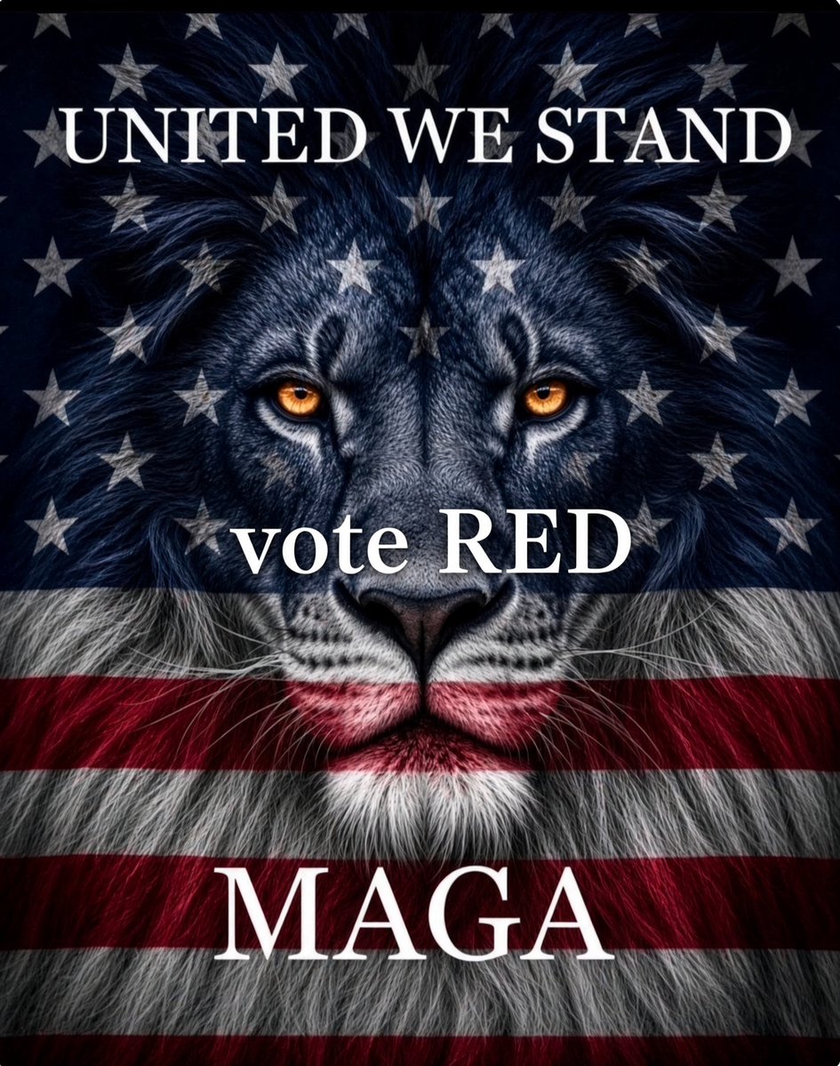 Lisap4f's tweet photo. @GuntherEagleman Please I’m begging every MAGA to vote red and early 
We have had to fight to keep our country and that’s what is happening right now we have to save our country from these evil people https://t.co/tMhDsQzHwU