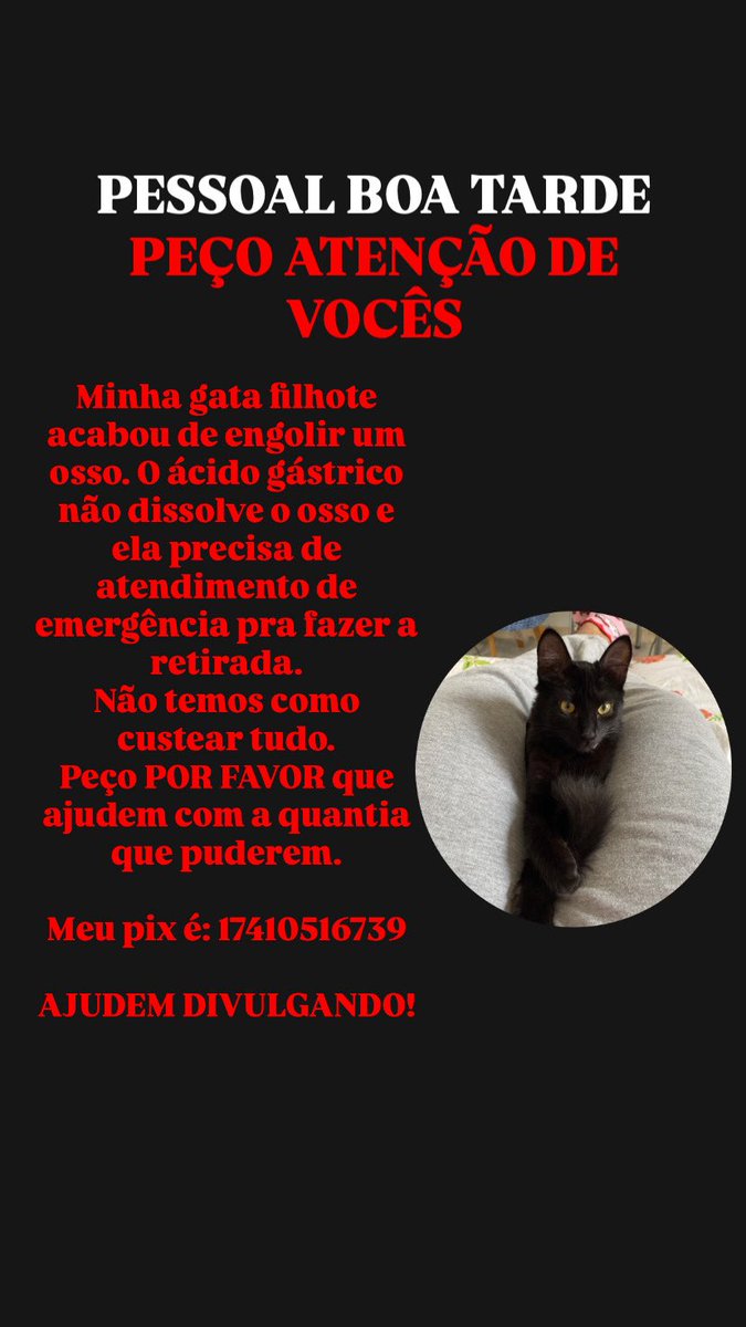 lilacjuju's tweet photo. gente isso acabou de acontecer e eu to muito desesperada! estamos indo em uma clinica de atendimento social por não termos dinheiro pra custear numa clinica normal! POR FAVOR DIVULGUEM! https://t.co/zFEhkyIvuo