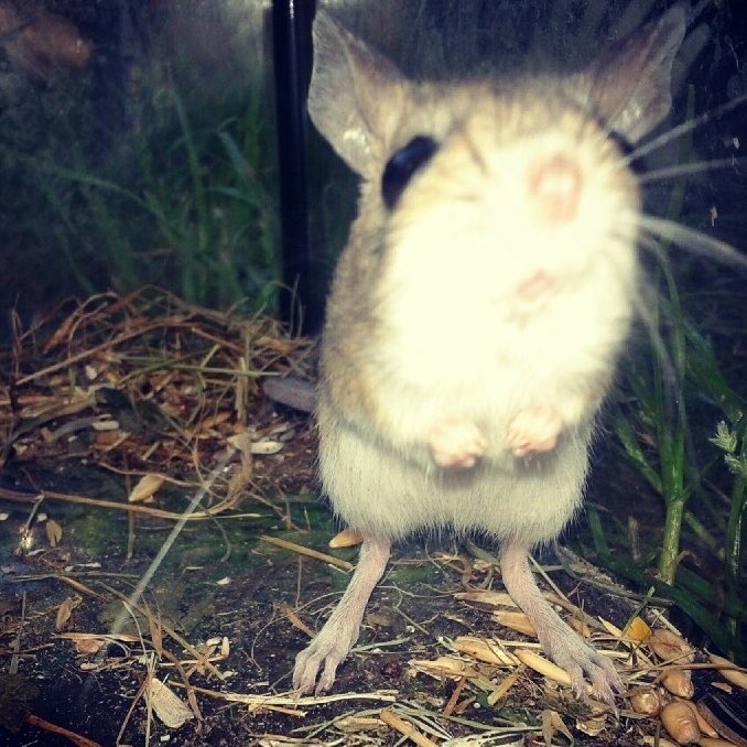 lowriiiiiiiiiii's tweet photo. face reveal https://t.co/aiXPuXboqK