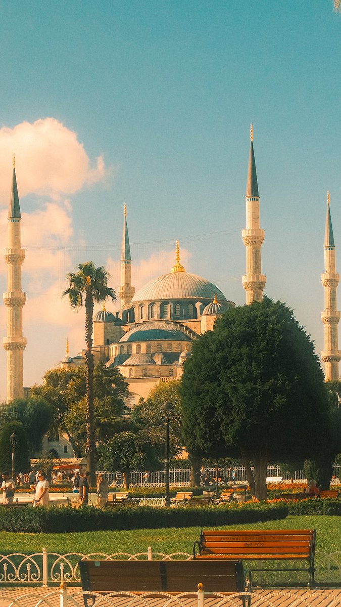 gokhan_dn's tweet photo. @camiistan https://t.co/wn6daQvEIM