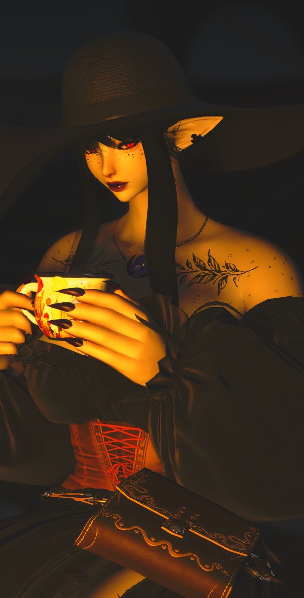 FranieFaeXIV's tweet photo. #elezen #gposer #gpose https://t.co/2BNYF2OxRz