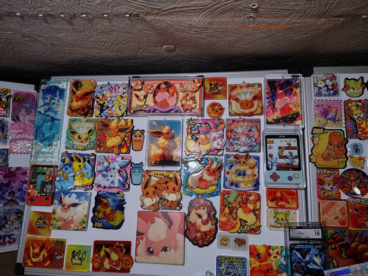 Reshiramfox9's tweet photo. Addiction to my magnet pokemon https://t.co/q3E8y9M6Vt