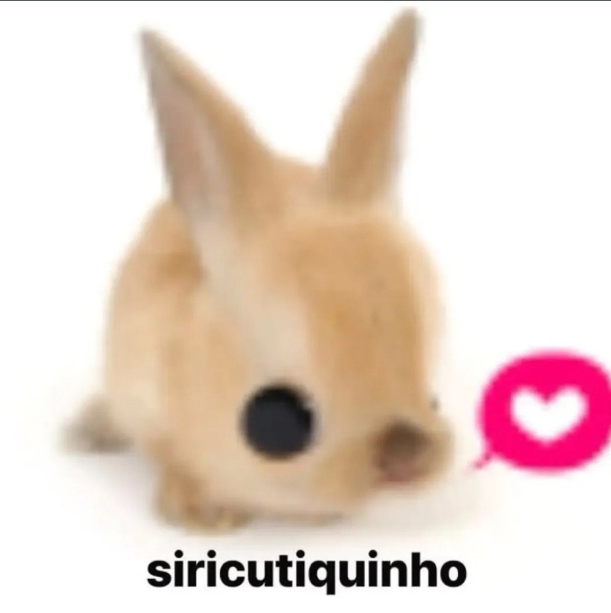 tortadefrango67's tweet photo. siricutico e siricutiquinho filho dele https://t.co/6udDmBOygS