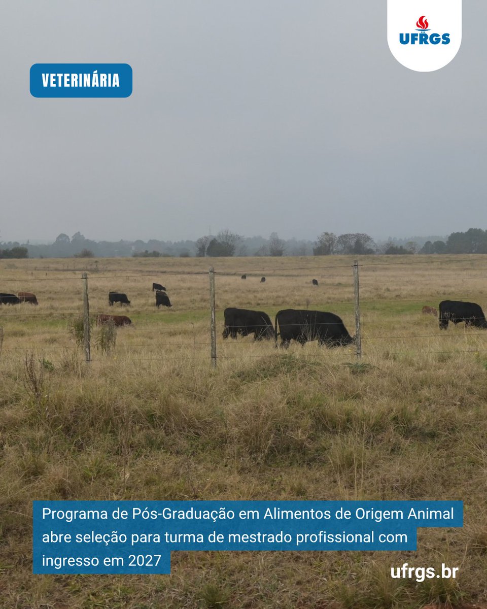 ufrgsoficial's tweet photo. Até 13 de novembro, estão abertas as inscrições para o processo seletivo no Mestrado Profissional do PPG em Alimentos de Origem Animal (PPGAOA) da Faculdade de Veterinária da UFRGS.
Leia mais em https://t.co/Dwg8tiSrlR https://t.co/mpaAXHCjPE