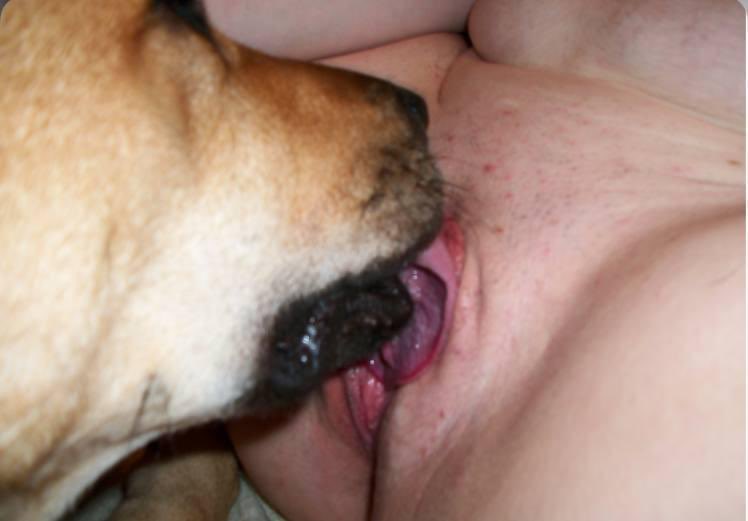 Knottysuzy1oxm's tweet photo. This is your sign 😈
Hot, private, premium content + LIVE kinky sessions
Once you join, there’s no going back 🔥
👉 Telegram channel:…https://t.co/NKnqno49S3

#k9 #zoo #premiumslut #bestdogknottingcontent #tit #pussy #bestsellincontent https://t.co/x92VgwkQou