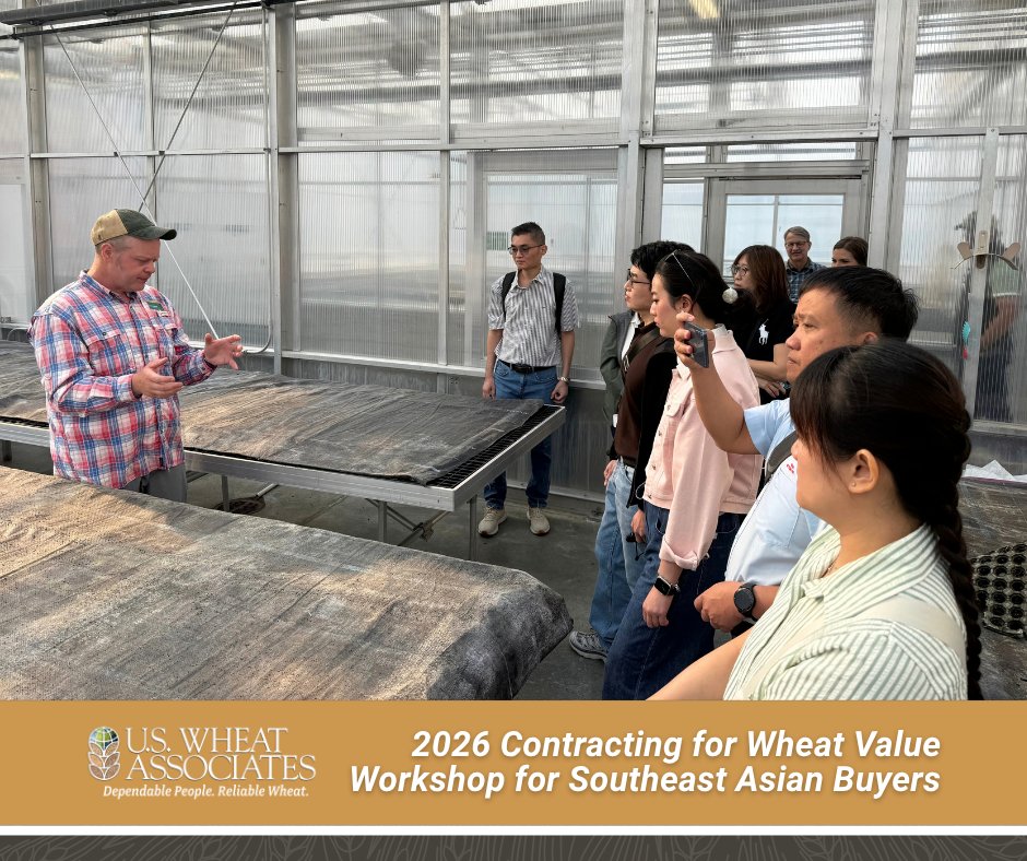 uswheatassoc's tweet photo. 💡📝🌾 "Beyond the Protein Specs: USW Workshop Highlights Procurement Strategies for Southeast Asian Buyers." via @uswheatassoc 

➡️ Read the full story on this workshop for insights at https://t.co/gk5dXpiBqy

@NCI_NDSU #USWheat https://t.co/bwDy3O0bwz