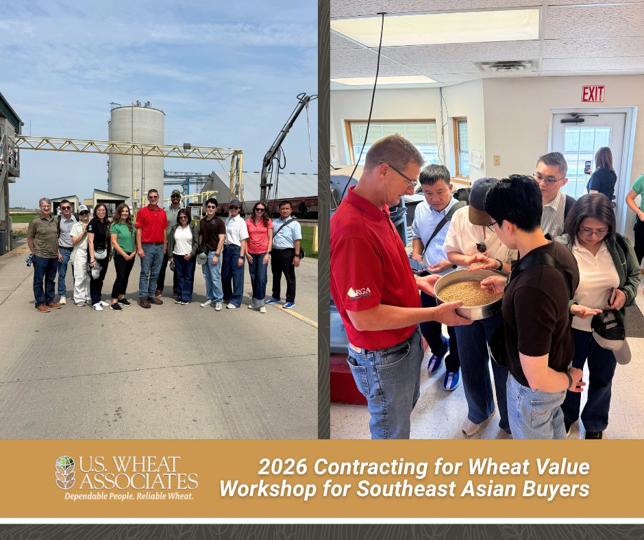 uswheatassoc's tweet photo. 💡📝🌾 "Beyond the Protein Specs: USW Workshop Highlights Procurement Strategies for Southeast Asian Buyers." via @uswheatassoc 

➡️ Read the full story on this workshop for insights at https://t.co/gk5dXpiBqy

@NCI_NDSU #USWheat https://t.co/bwDy3O0bwz