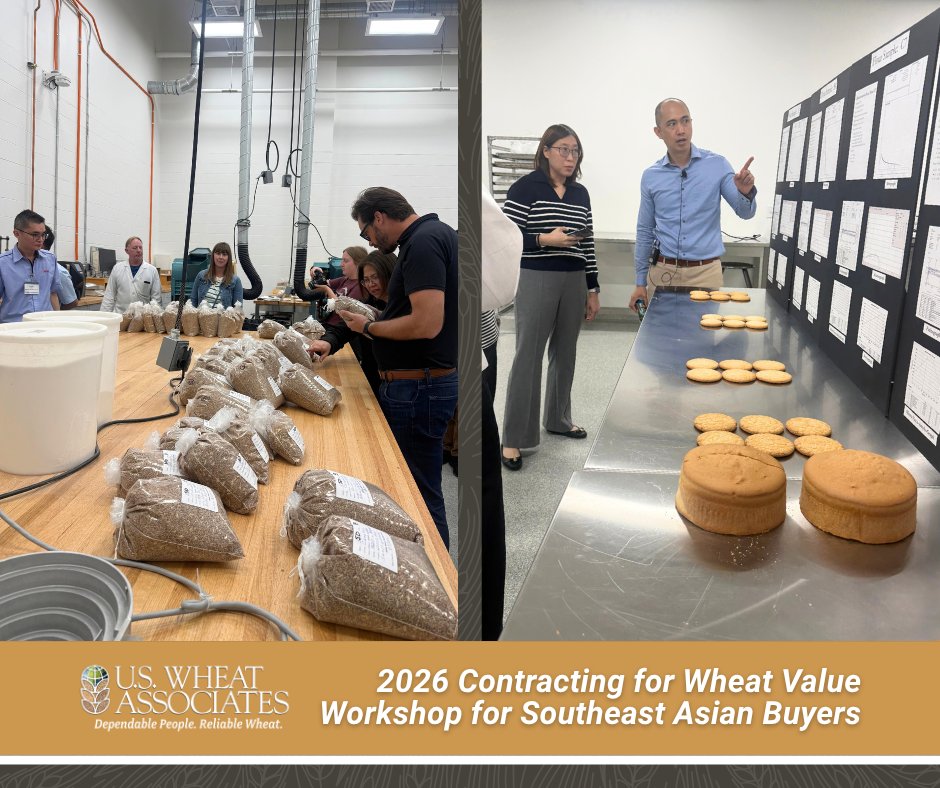 uswheatassoc's tweet photo. 💡📝🌾 "Beyond the Protein Specs: USW Workshop Highlights Procurement Strategies for Southeast Asian Buyers." via @uswheatassoc 

➡️ Read the full story on this workshop for insights at https://t.co/gk5dXpiBqy

@NCI_NDSU #USWheat https://t.co/bwDy3O0bwz
