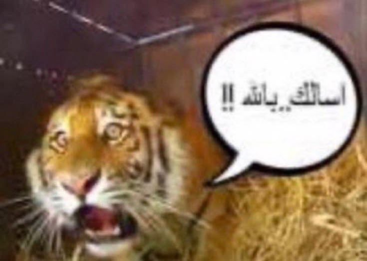 BbbxlI's tweet photo. #٢٠٣٠_بلا_نقاب 

وش التحليل المخنوثي ذا؟ https://t.co/aarpE984Om
