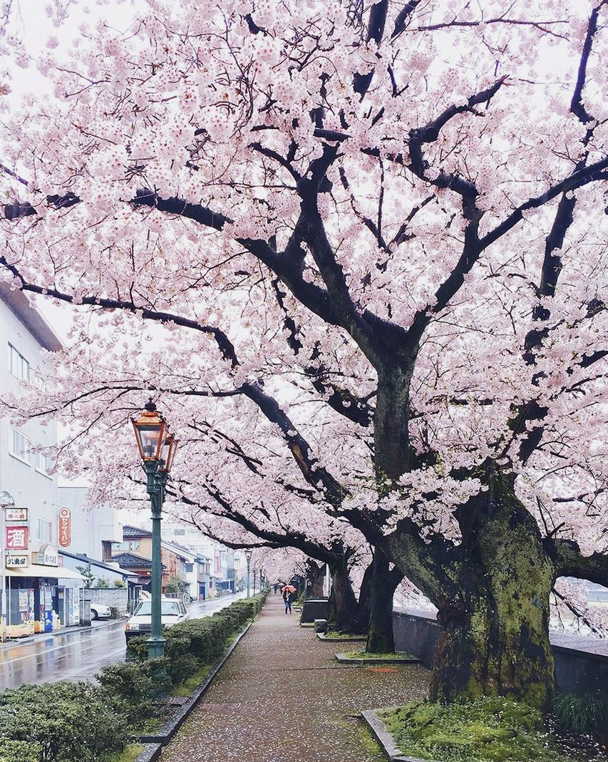 Senntai01's tweet photo. 二度寝出来ないというか睡眠出来ない自律神経の乱れは全部雨のせいでええか？ https://t.co/fpp53dpzbZ