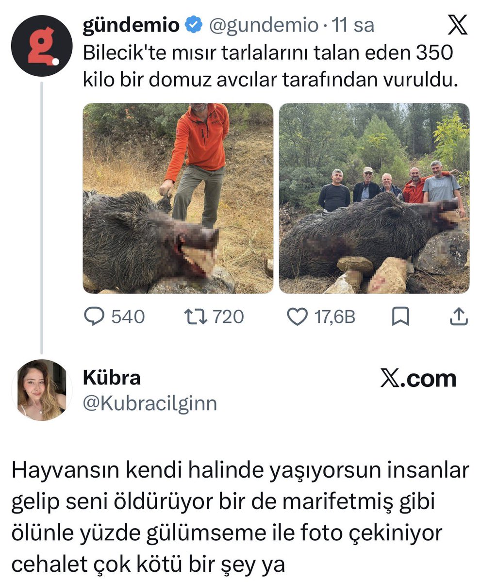Estergon61's tweet photo. Domuz için duyar kasan geri zekalı’larla benim oyum bir mi şimdi? https://t.co/gKtBIWRdLt