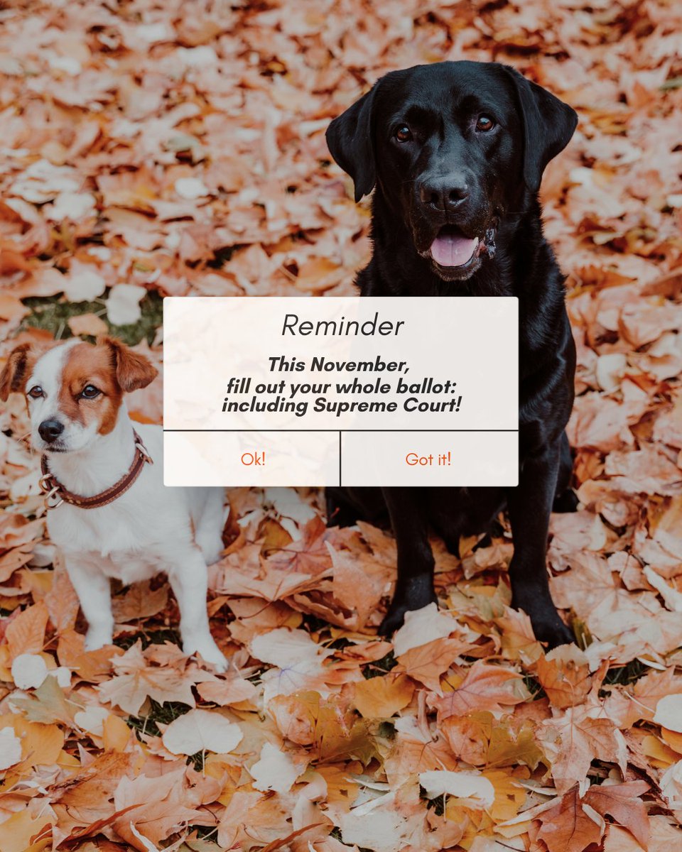 dmclansing's tweet photo. Don't miss the Michigan Supreme Court race this year!
Check the nonpartisan section of your ballot!
 https://t.co/YtTgmJn5XE https://t.co/T1C9kj1htf