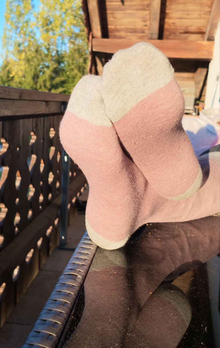 ViktoriaSolea's tweet photo. Was bekommen alle meine Socken? Natürlich Sonne und Wasser, damit sie schön groß und perfekt für eure Näschen werden. https://t.co/doRUxmpvF3