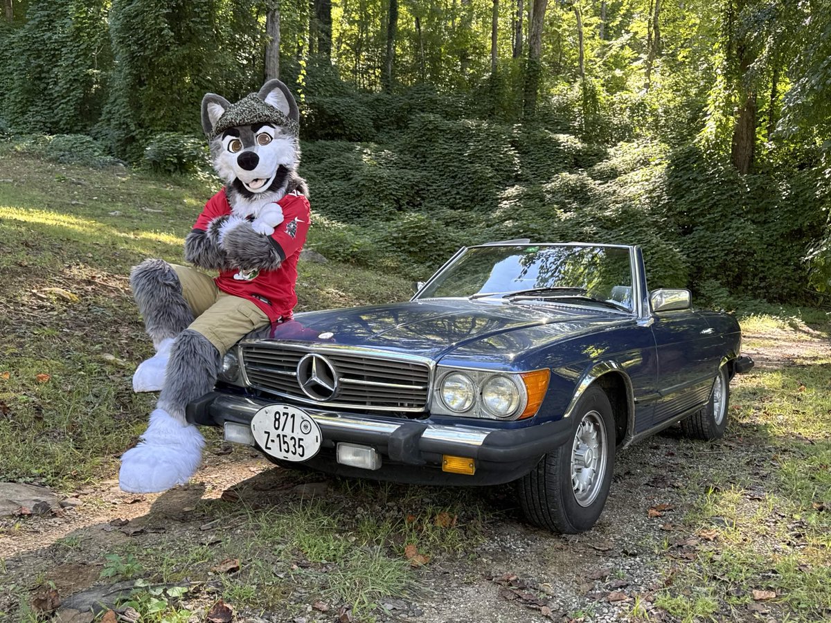 JaxonGA's tweet photo. I managed to have a lot of fun at FTO
Thanks for the photos Yuuma
📸 @YuumaRagingBull https://t.co/d4IE2kfv6p