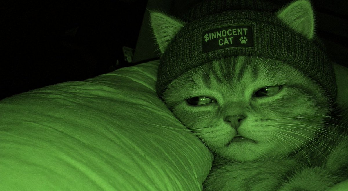 Innocentcat224's tweet photo. $INNOCENT CAT  TO
$1 PER TOKEN 

SOON https://t.co/4GZazLGYd2