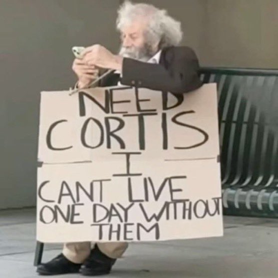 ykcrts's tweet photo. fuera de joda si extraño a los cortis💔 https://t.co/3OITYipXYb