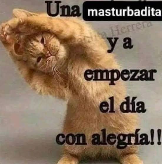 Noubariii's tweet photo. Hola https://t.co/5yQNt5pnEQ