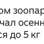 Photo by Амбасадор_Ёбаной_Зимы (@malovat)