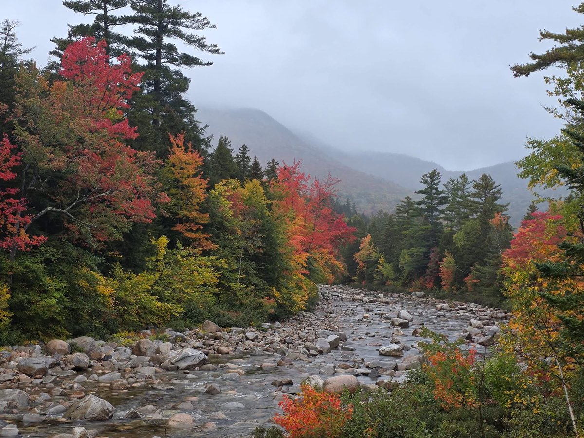 FreebornMaryAnn's tweet photo. Today me and a friend took a ride up to our beautiful White Mountain National Forest in NH. Kinsman’s Notch, Franconia Notch, Bretton Woods. Colors peaking and absolutely spectacular! Photos don’t do it justice. https://t.co/nidTmL0XOh