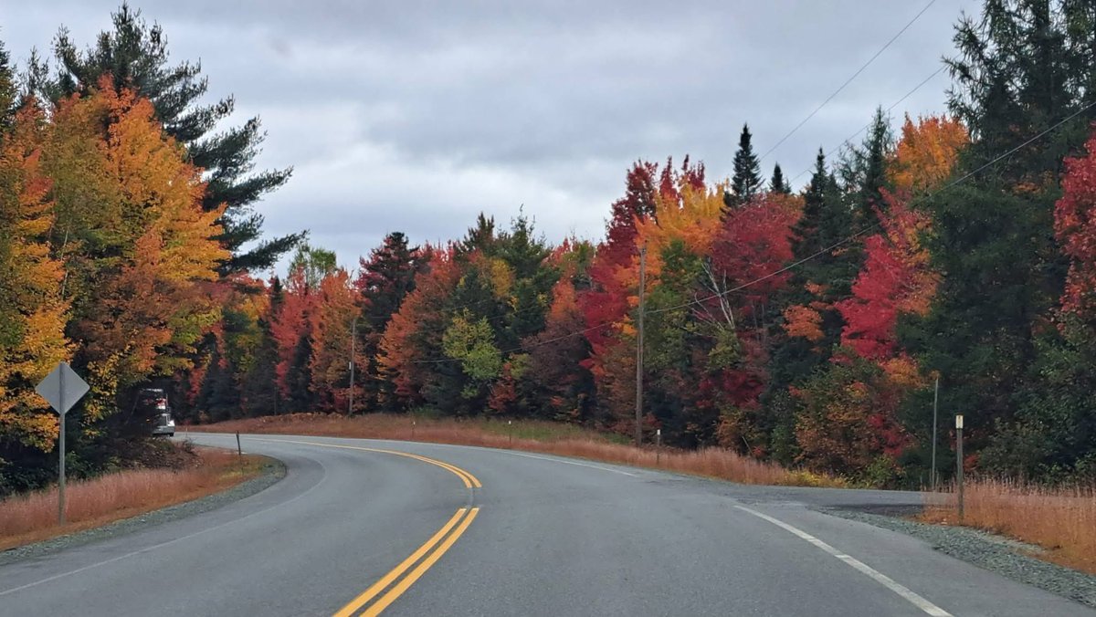 FreebornMaryAnn's tweet photo. Today me and a friend took a ride up to our beautiful White Mountain National Forest in NH. Kinsman’s Notch, Franconia Notch, Bretton Woods. Colors peaking and absolutely spectacular! Photos don’t do it justice. https://t.co/nidTmL0XOh