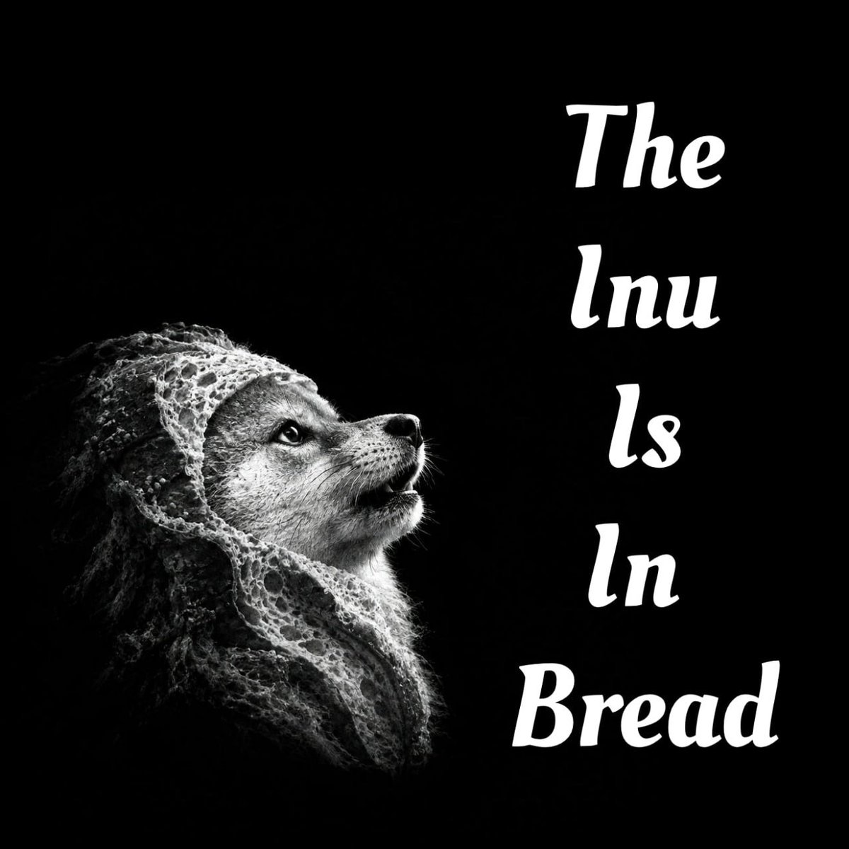 inbread_sol's tweet photo. @Quanterty https://t.co/bRrQP7ywof
