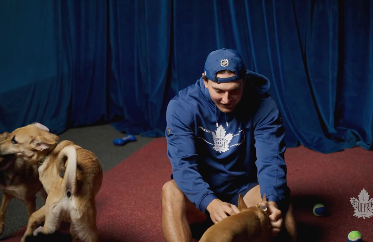scuderialeafs's tweet photo. knies puppy interview is lost media now ☹️ https://t.co/iHUzbXA4sI