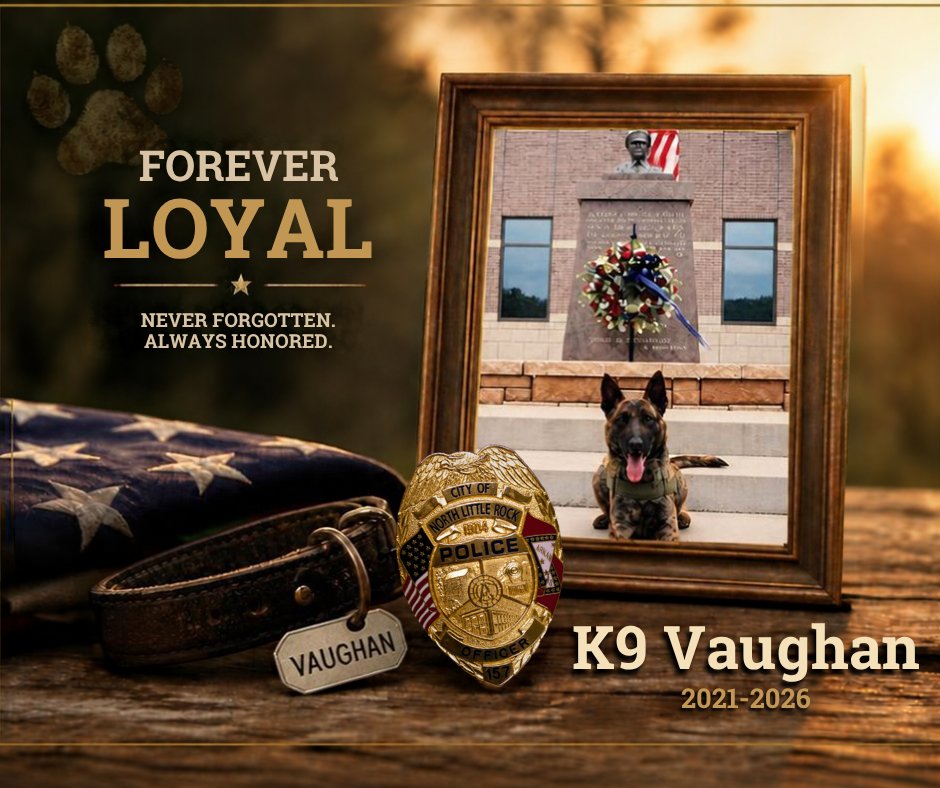 NLRPD's tweet photo. 💙🐾 Remembering K9 Vaughan 💙🐾 

With heavy hearts, we say goodbye to NLRPD K9 Vaughan, a 5-year-old Dutch Shepherd who served his department and community for four years.

K9 Vaughan passed away unexpectedly following an illness. His passing came too soon, leaving behind a profound loss for his handler, his department, and the community he faithfully served.

Vaughan was more than a K9. He was a trusted partner, a devoted protector, and a cherished member of his handler’s family. His loyalty will be missed by all who knew him.

Please keep Vaughan’s handler, family, and department in your thoughts. We are thankful for the years of devoted service and the memories that will never be forgotten. 

Rest easy, good boy. Your watch is over. 💙🐾

K9 Vaughan
End of Watch: September 26, 2026