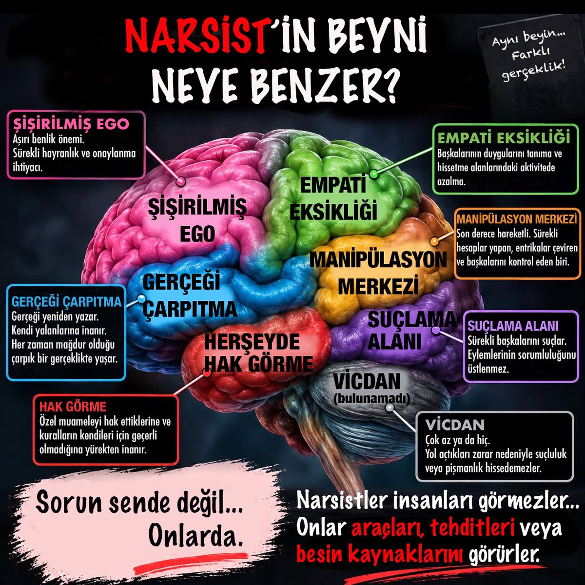 MotivareklamS's tweet photo. Epey vaktimi aldı ama elimde bütünü görebilmek için somut bir done olsun istedim. *Böyle bir beyin yapısıyla nasıl başedilebilir?" notları alıyorum :) https://t.co/DmbNwUZpTs