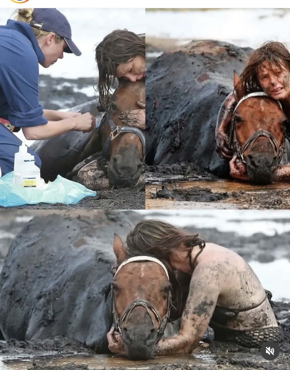 pinupseniorgirl's tweet photo. ¡¡  SOSTUVO LA CABEZA DE SU CABALLO MAS DE TRES HORAS POR ENCIMA DEL AGUA PARA Q NO SE AHOGARA HASTA Q VINIERON A RESCATARLO . ESO ES  AMOR INCONDICIONAL 😭😭😭❤️❤️❤️❤️❤️❤️❤️❤️ https://t.co/lyB8hqDy57