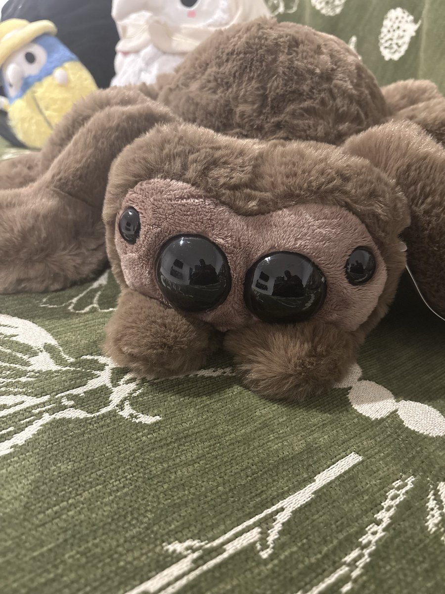 maulaera's tweet photo. MY NEW NASTY BOYYYY https://t.co/D8yRPgBZl5