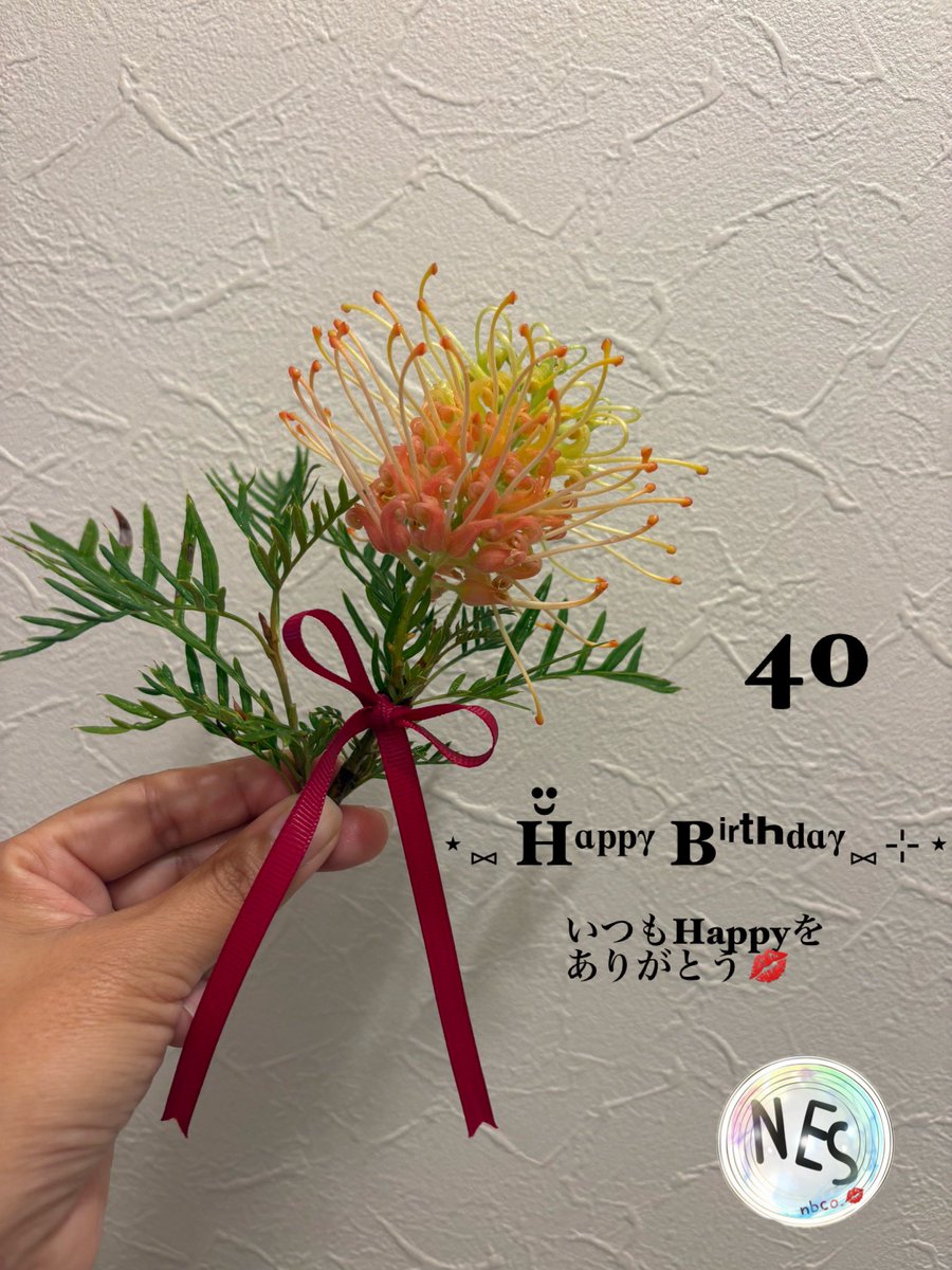 ayk91386131's tweet photo. #Nissyに想いを込めて差し出す一輪のお花
#Nissy40thbirthday_1輪ずつを花束に💐
#西島隆弘誕生祭🪄
#Nissy0930🎩
#Nissy40thBirthday💋
#NES💫
#NESnbco.🌟
#NissyHBD
@NissyStaff
Nissyにたくさん元気ドキドキわくわくいろんな感情をもらってます♡楽しい日々をありがとう♡私も40！お互い体を大切に https://t.co/j2hhq3Ys2s