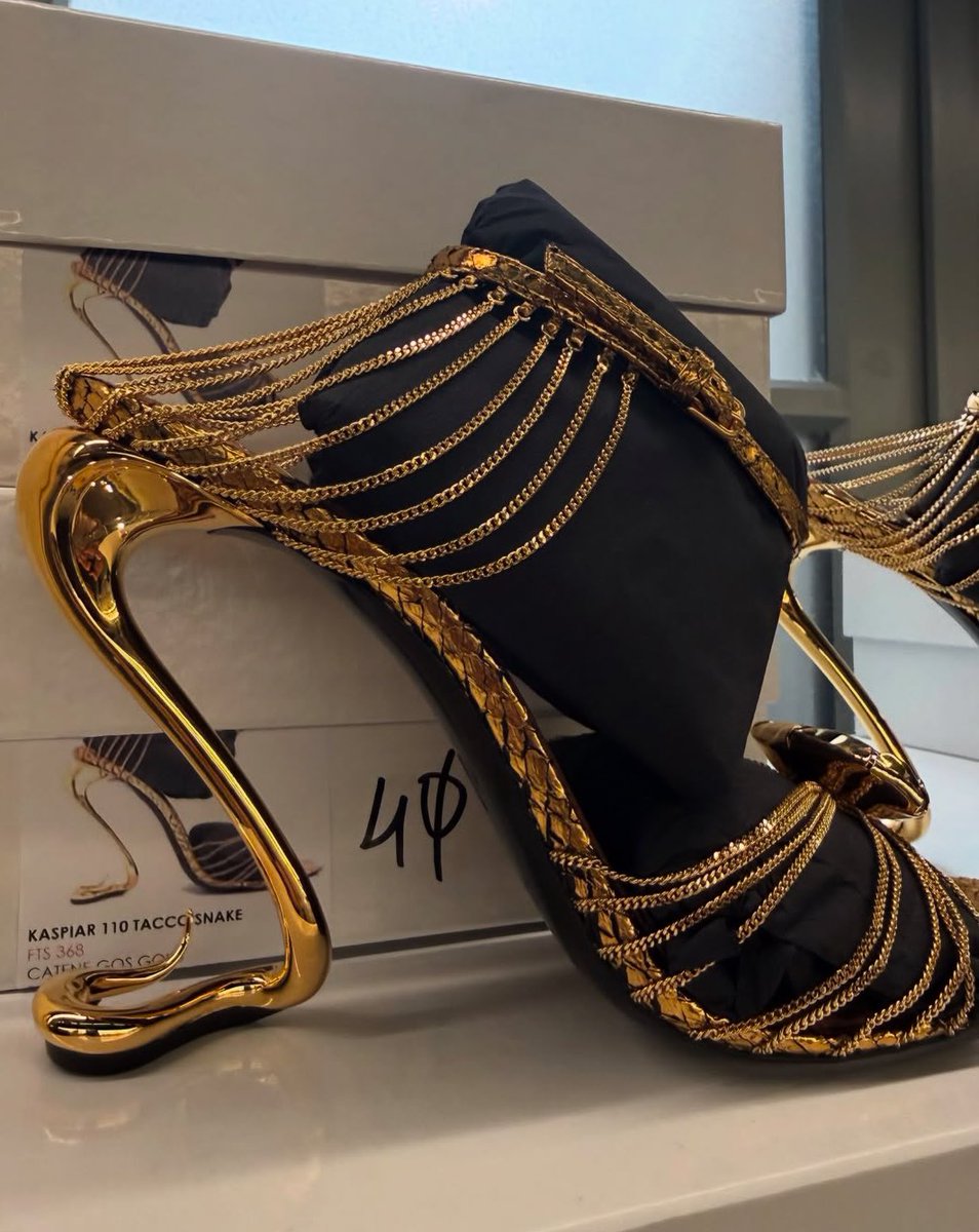 soomienana's tweet photo. The HEELS from Saint Laurent SS27..🤯!
SNAKES AND ALL #OBSESSED #NEED https://t.co/mJfPWupGgz