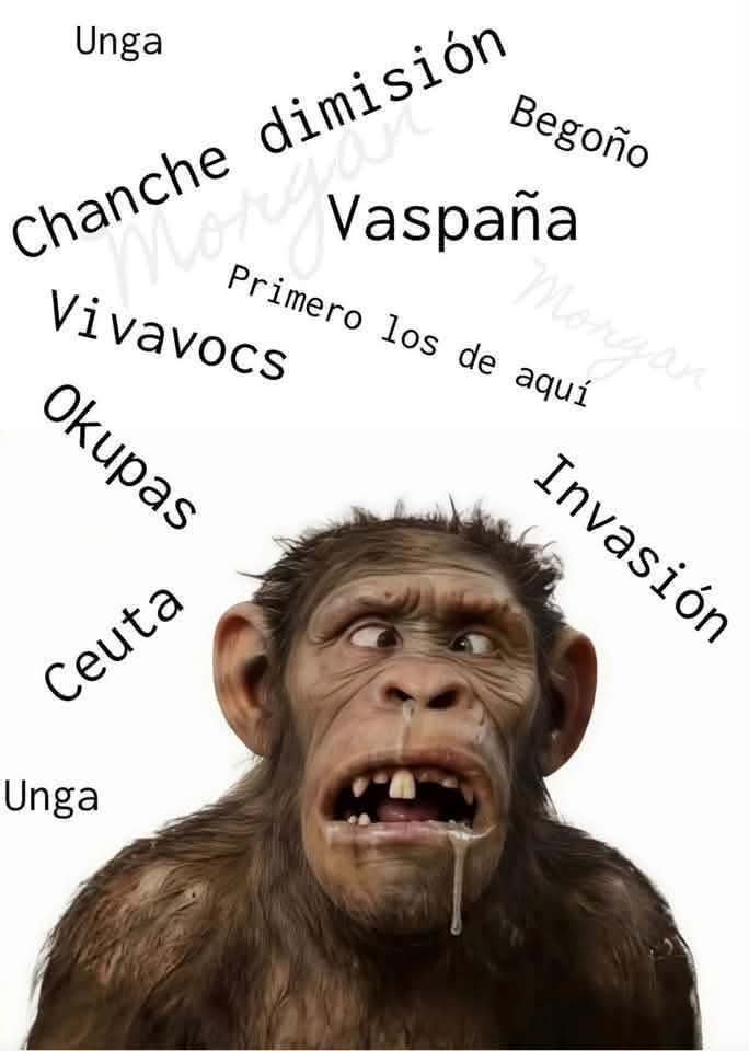 luispe1974's tweet photo. @Santi_ABASCAL https://t.co/qL0g8o4Sc2