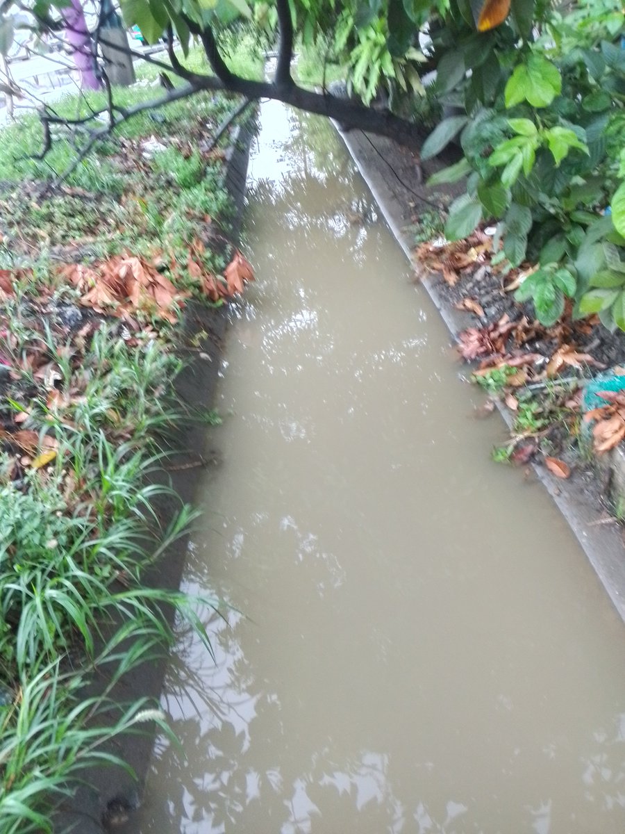 eduardopontoni's tweet photo. Empezó el diluvio en la 4ta Etapa El Recreo @GobiernodeDuran @CHONILLOec , segun #WalterTriviño de la  @PrefGuayas  se entregaron los informes al GAD #Duran y no han hecho nada,  el ducto canal se desbordara  e inundará a los moradores del sector . https://t.co/Lg47NsmsSm