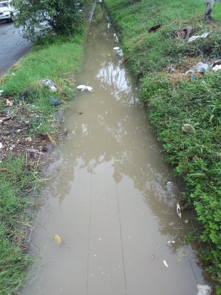 eduardopontoni's tweet photo. Empezó el diluvio en la 4ta Etapa El Recreo @GobiernodeDuran @CHONILLOec , segun #WalterTriviño de la  @PrefGuayas  se entregaron los informes al GAD #Duran y no han hecho nada,  el ducto canal se desbordara  e inundará a los moradores del sector . https://t.co/Lg47NsmsSm