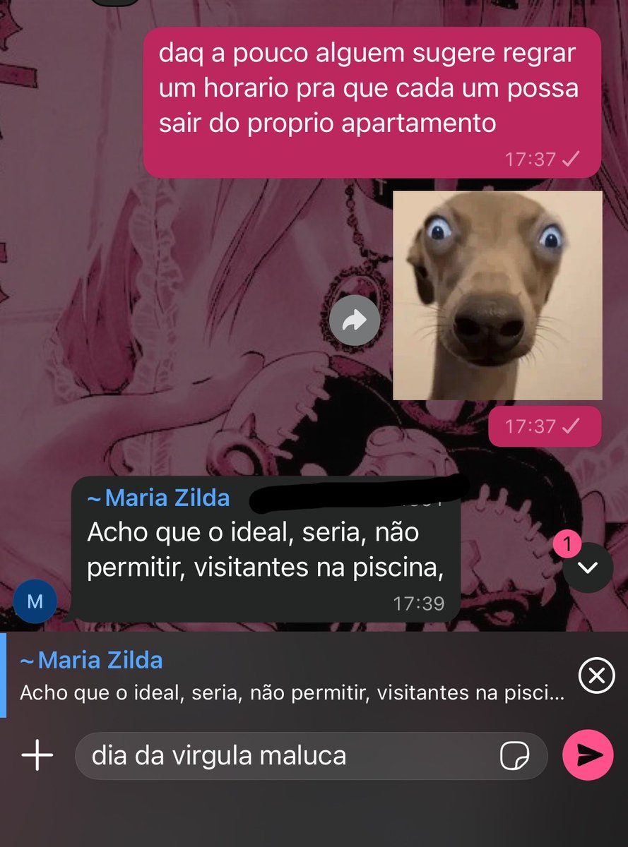cacatuaveloz's tweet photo. eu quando to doida pra briga c as veia do condominio https://t.co/iyXt73USae