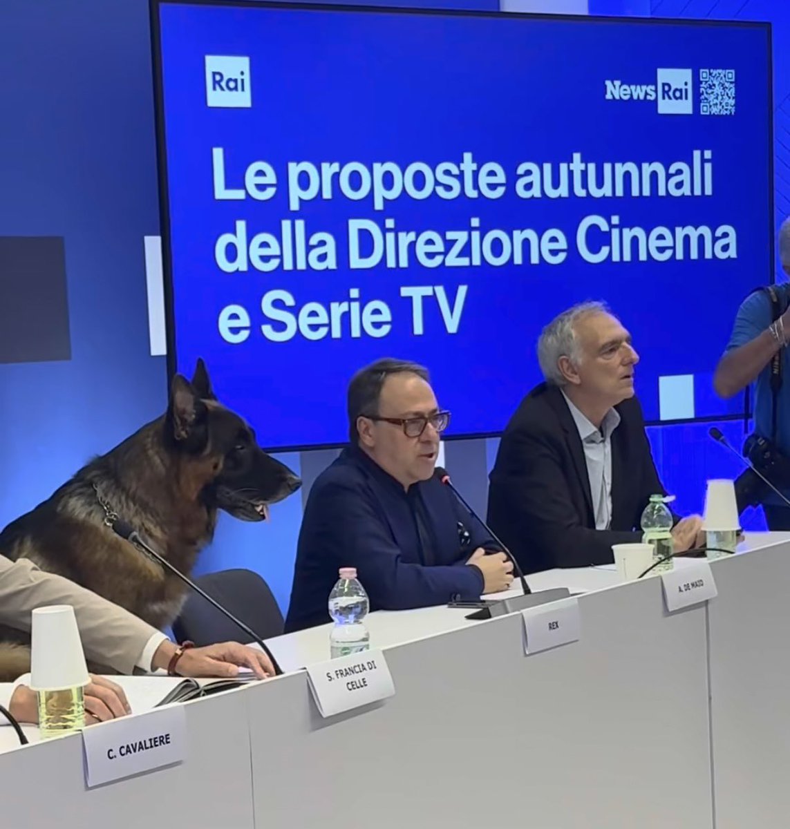 elijah85's tweet photo. Rex alla conferenza stampa dei palinsesti Rai mi spezza. https://t.co/VQAei9trn8