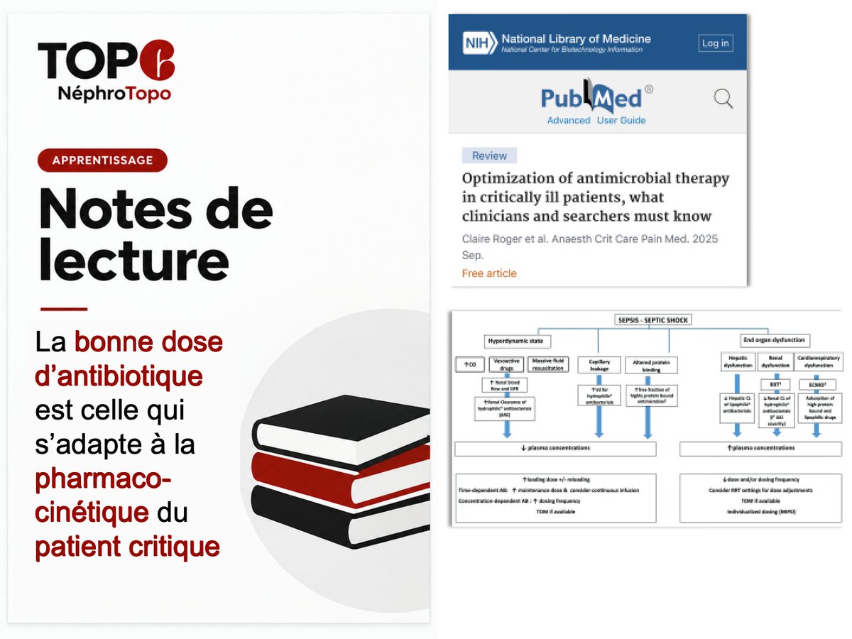 nephrotopo's tweet photo. 💥 La bonne dose d’antibiotique est celle qui s’adapte à la pharmacocinétique du patient critique
#nephrotopo #NotesDeLecture #LCA #Lecture #FREE #article #FOAMed
👇 https://t.co/Tbb8KOieeP