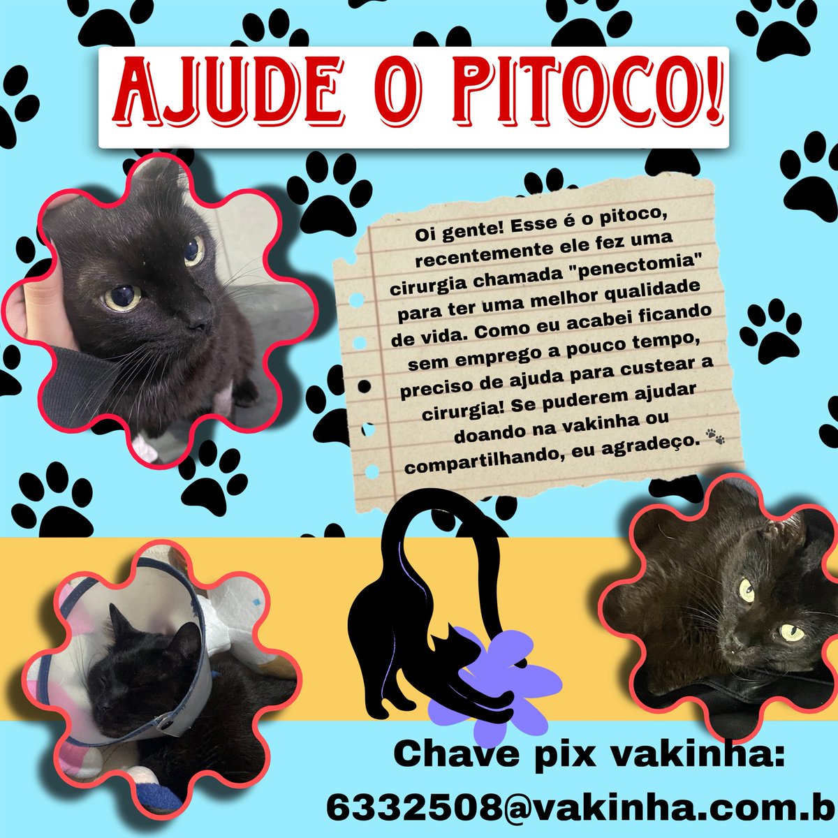 cadaveritos's tweet photo. oi gente! 
esse é meu gatinho pitoco, no dia 08/09 o pitoco teve que ir ao veterinário pois seu canal urinário estava obstruído e seria nescessário fazer uma cirurgia, a cirurgia dele foi feita no dia 09/09, o nome desse procedimento é penectomia e basicamente: https://t.co/9xCK71I8y2